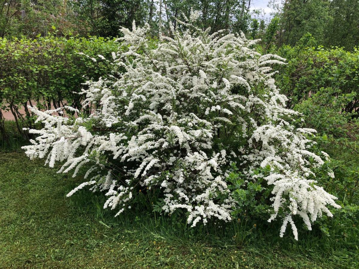 Pyhtaeae Garden Villa Pyhtaa Екстериор снимка